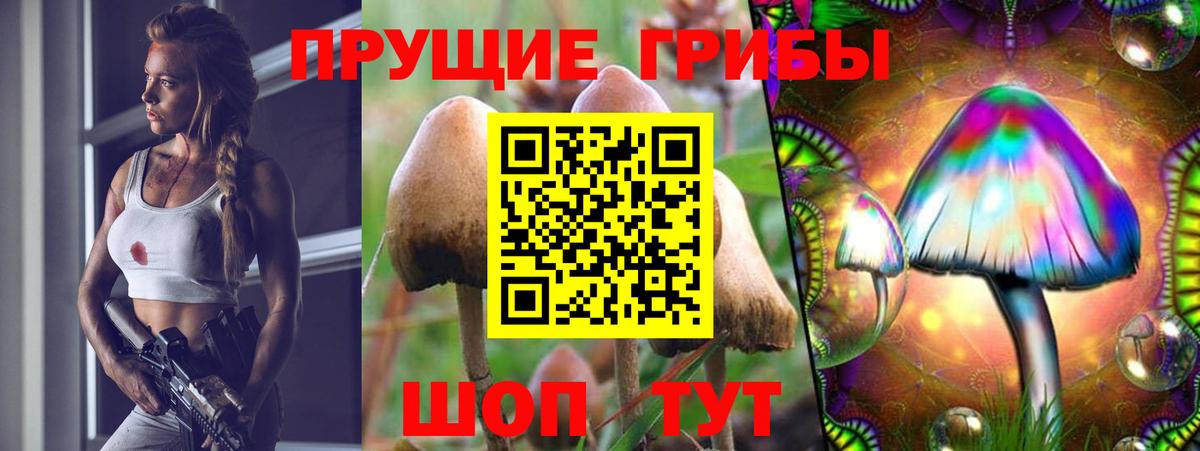 Псилоцибиновые грибы MAGIC MUSHROOMS  Вход с VPN  Ачинск  Галлюциногенные грибы ЛСД 