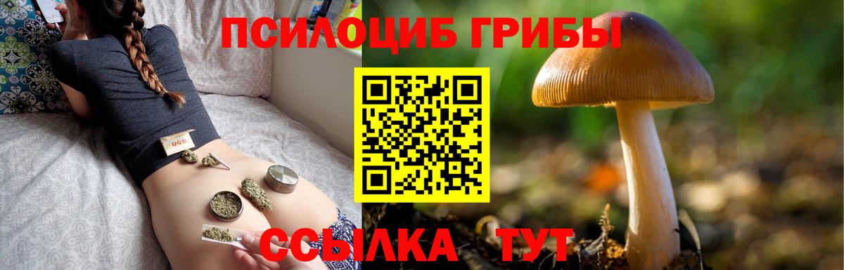 Галлюциногенные грибы Cubensis Ачинск